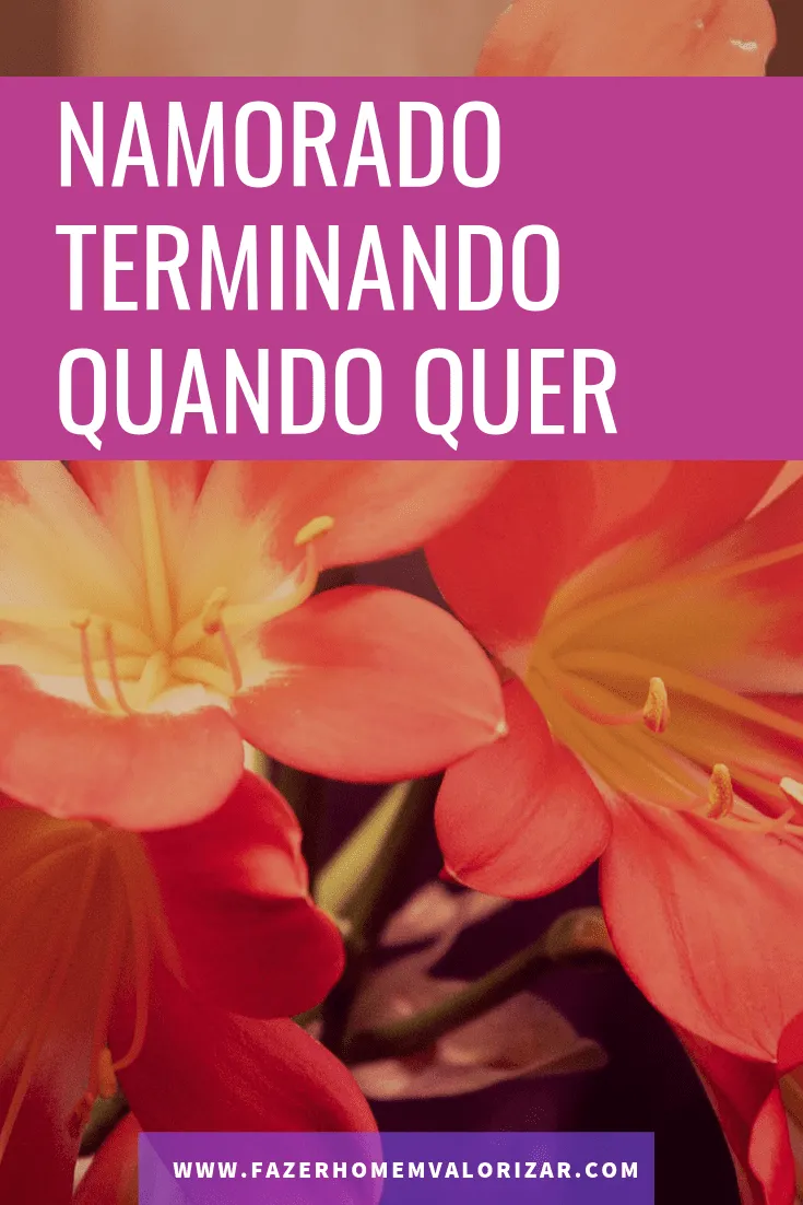namorado terminando