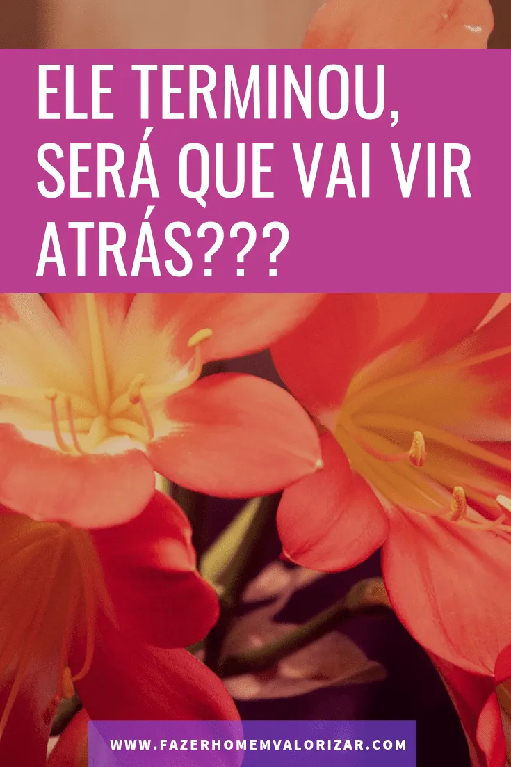 ele terminou