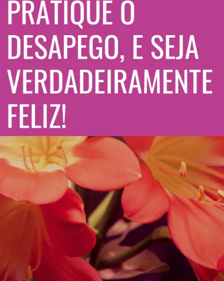 feliz