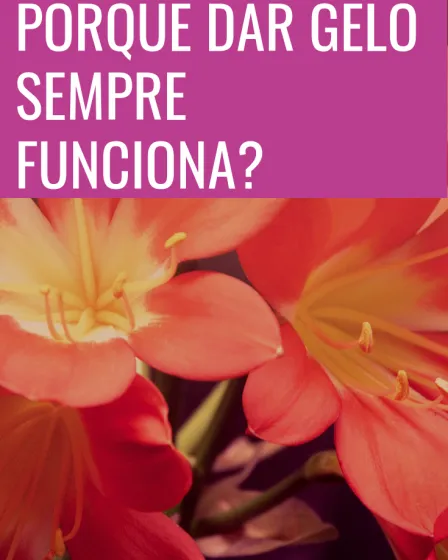 dar gelo funciona