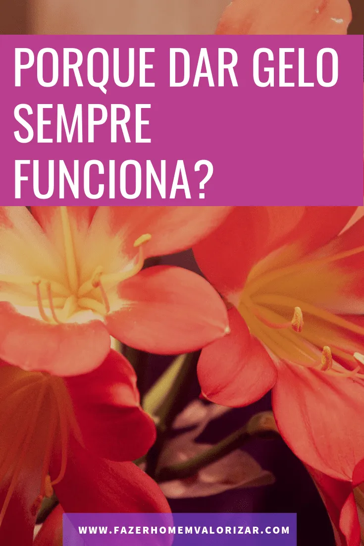 dar gelo funciona