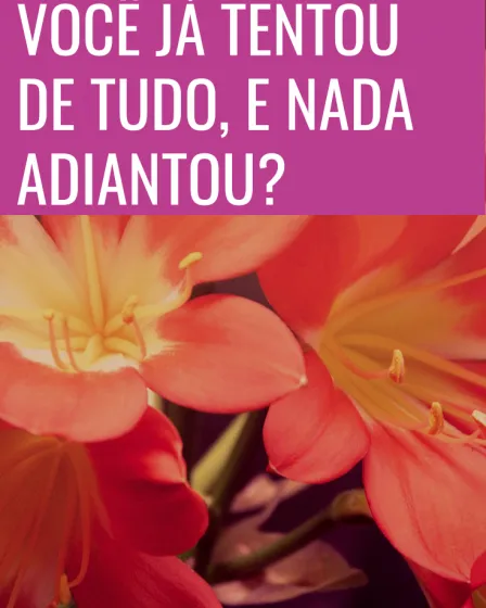 você já tentou