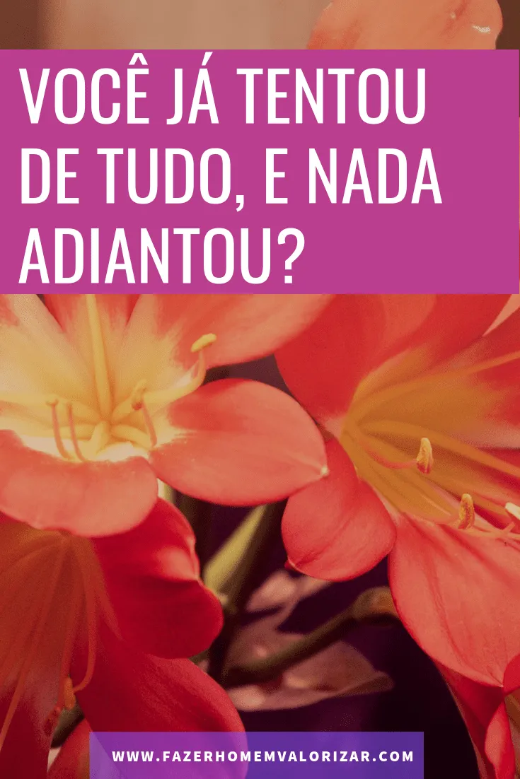 você já tentou