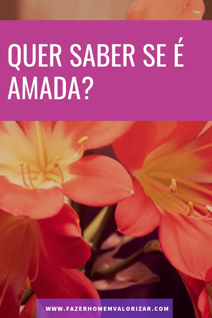 amada