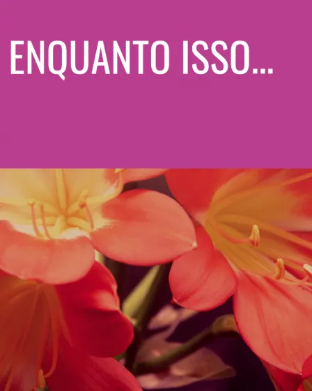 enquanto isso