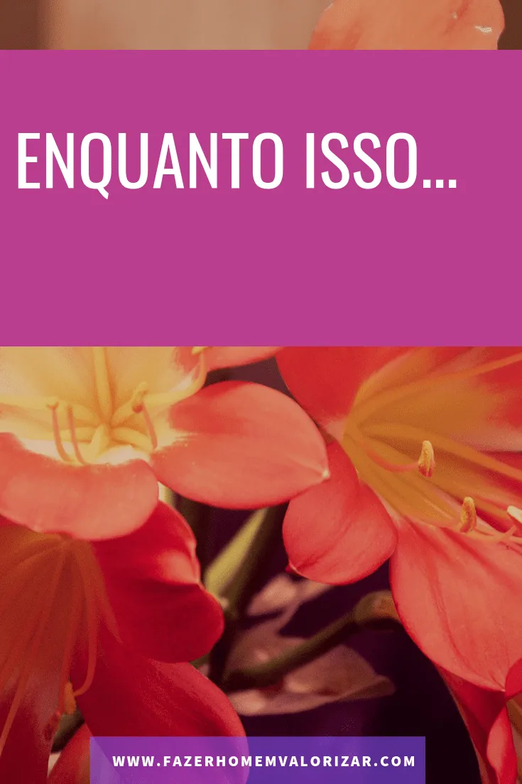 enquanto isso