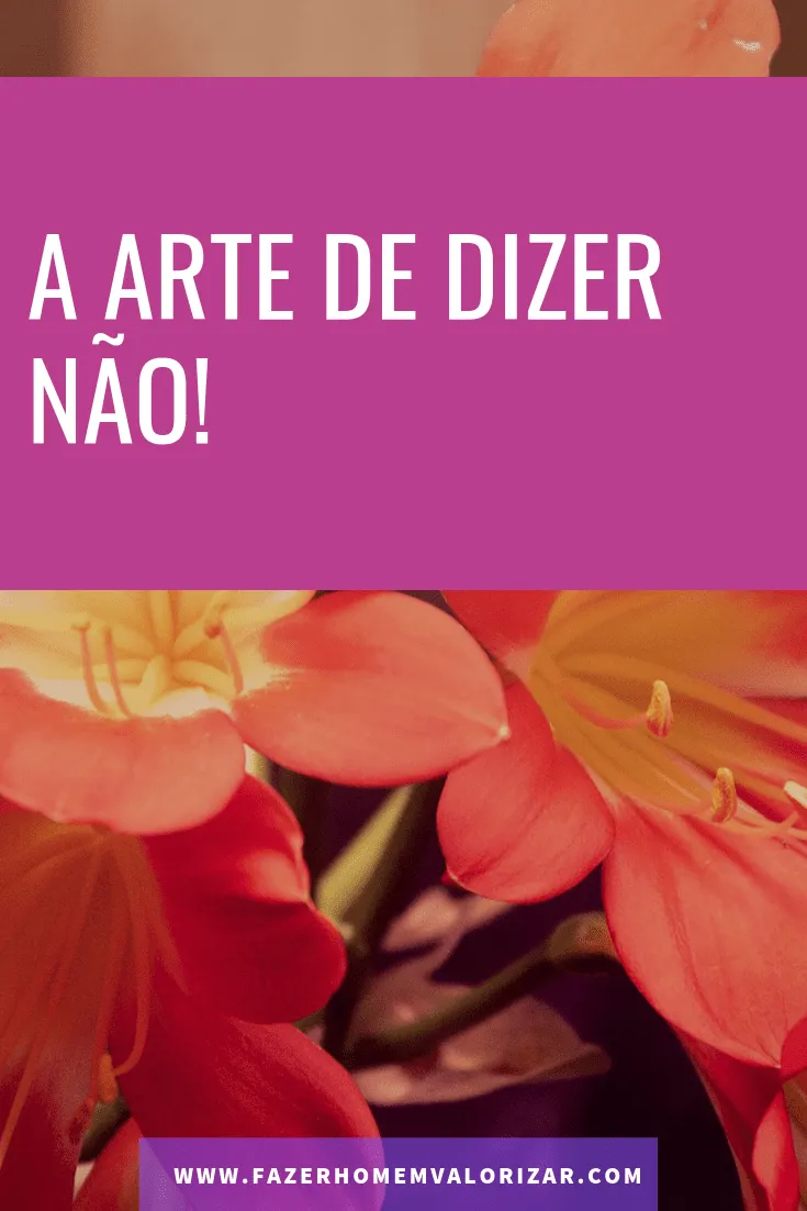 dizer não