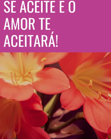 se aceite