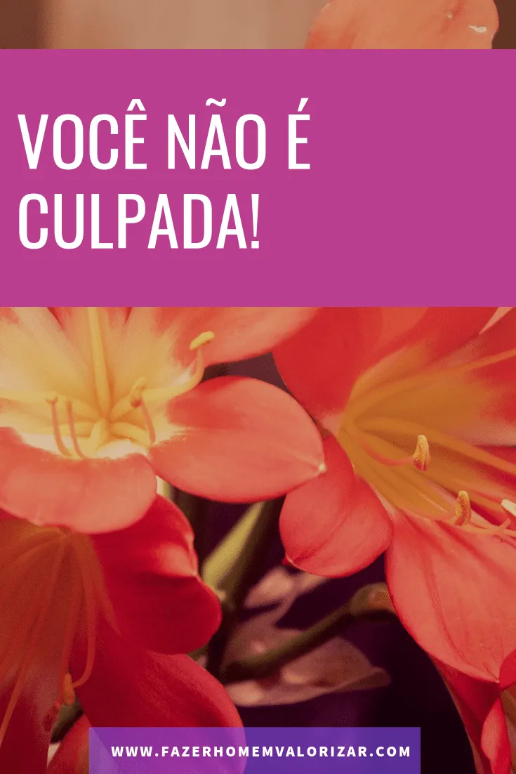você não é culpada
