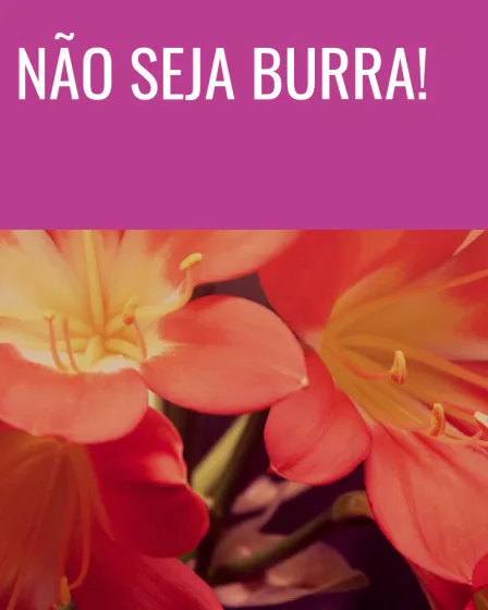 não seja burra