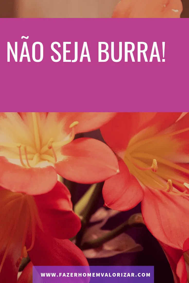 não seja burra