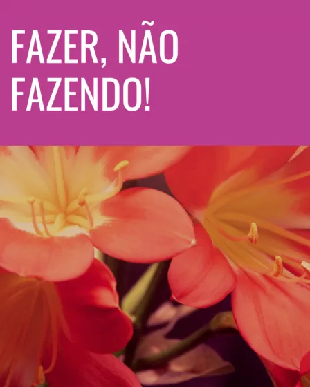 fazer não fazendo