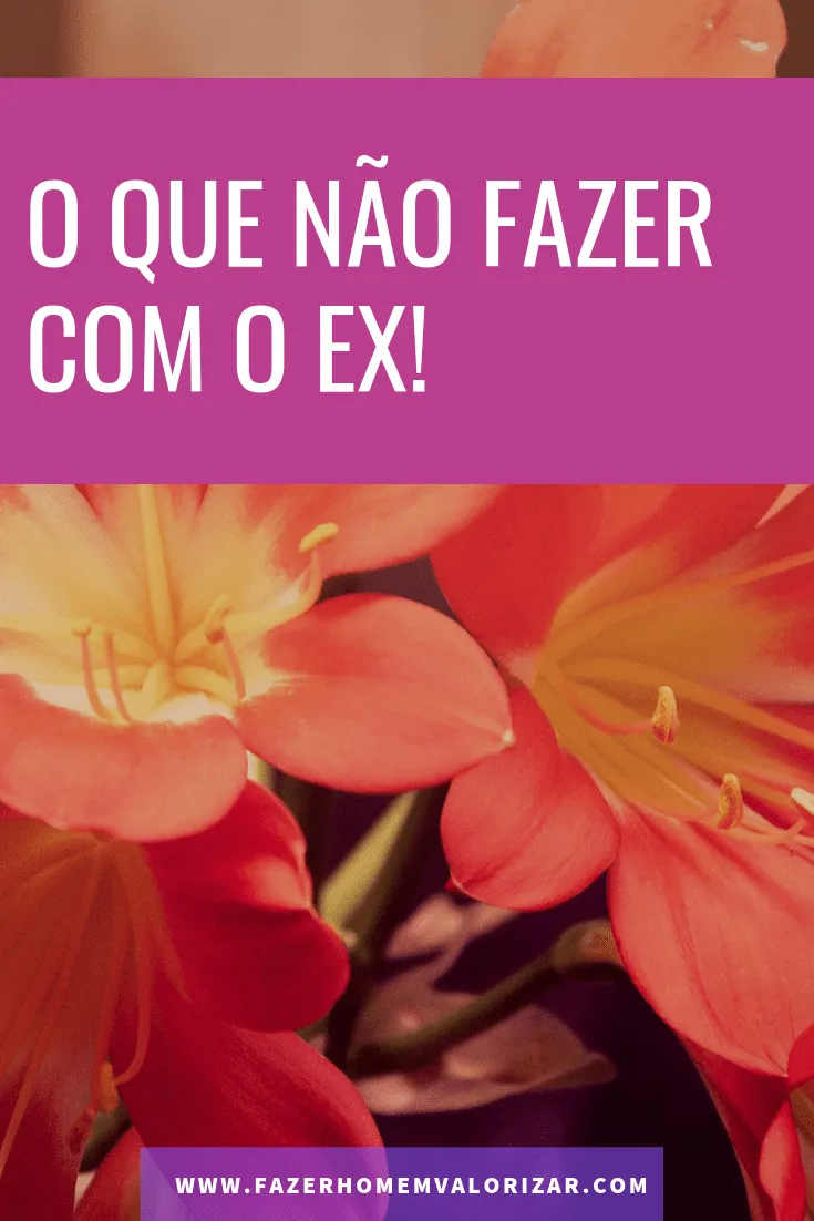 não fazer com o ex