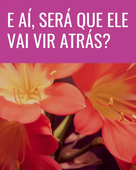 vai vir atrás