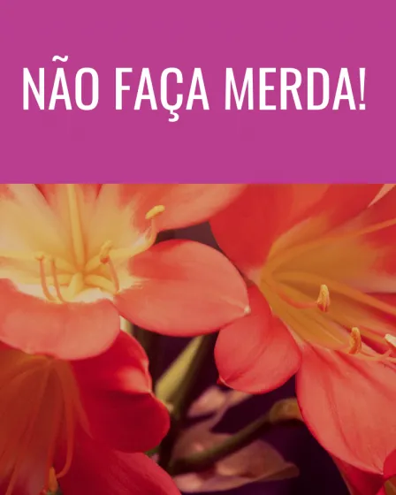 não faça merda