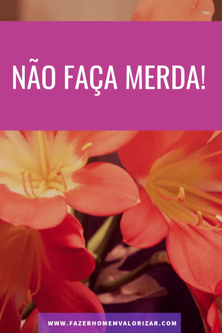 não faça merda