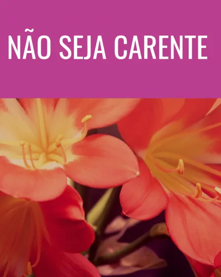 não seja carente