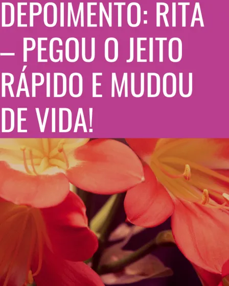 pegou o jeito
