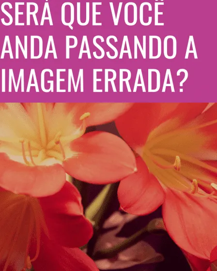 passando a imagem errada