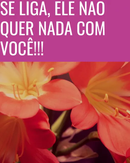 se liga