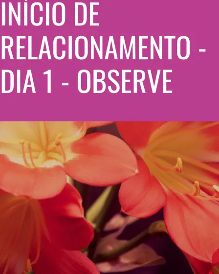 início de relacionamento