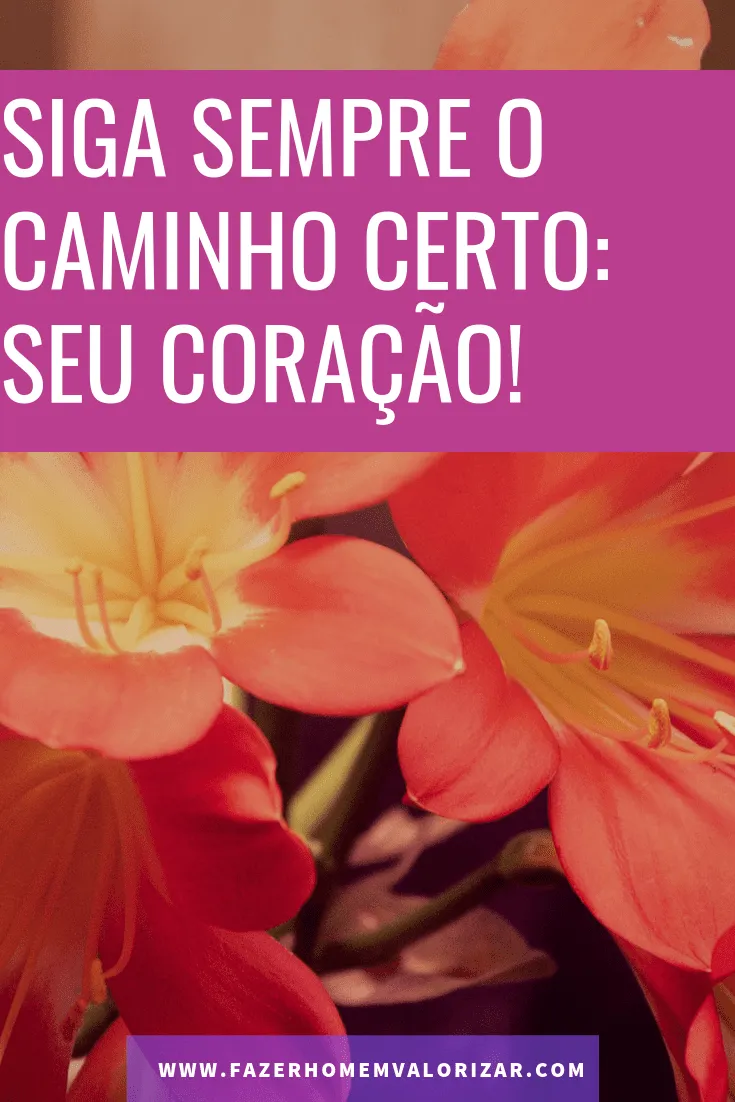 siga sempre