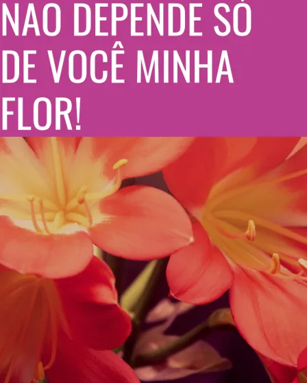 só de você