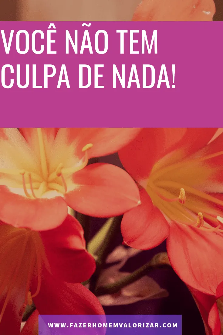 você não tem culpa