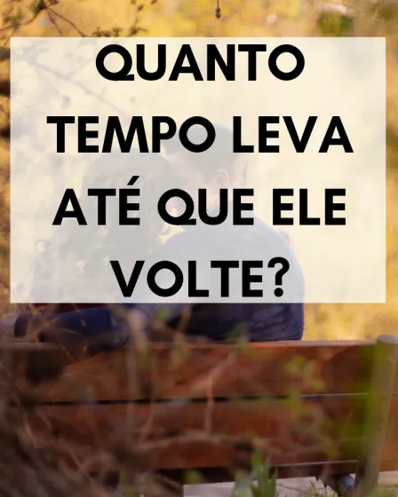 quanto tempo leva até que ele volte