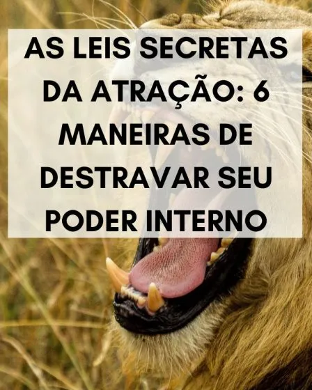 As Leis Secretas da Atração: 6 maneiras de destravar seu poder interno