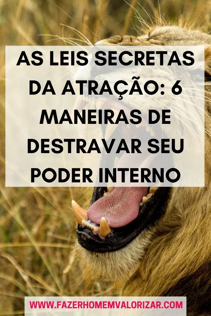 As Leis Secretas da Atração: 6 maneiras de destravar seu poder interno